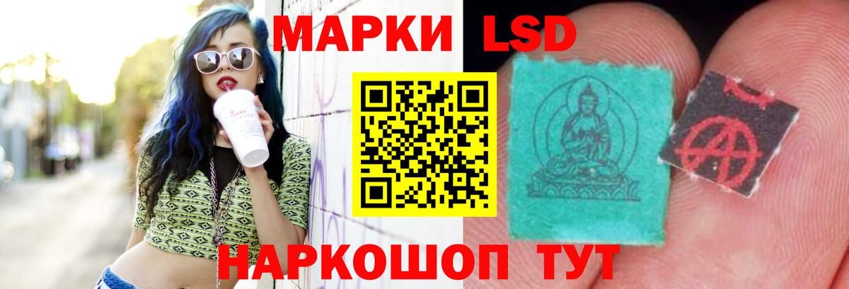 LSD-25 экстази кислота  LSD-25 экстази  Гатчина  ОМГ ОМГ рабочий сайт  Вход с VPN 