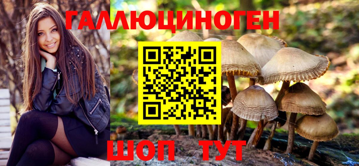 сколько стоит  Галлюциногенные грибы GOLDEN TEACHER  Вход с VPN  Гатчина 